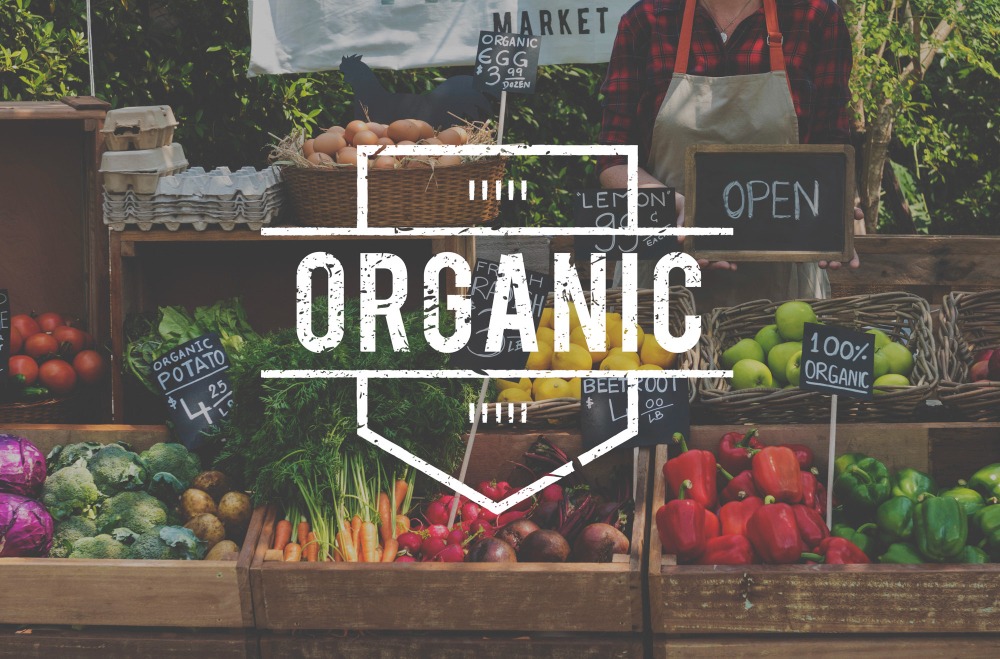 how-to-open-an-organic-food-store